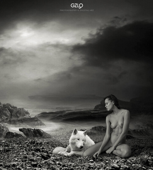 the steppe62222dad58c435cd