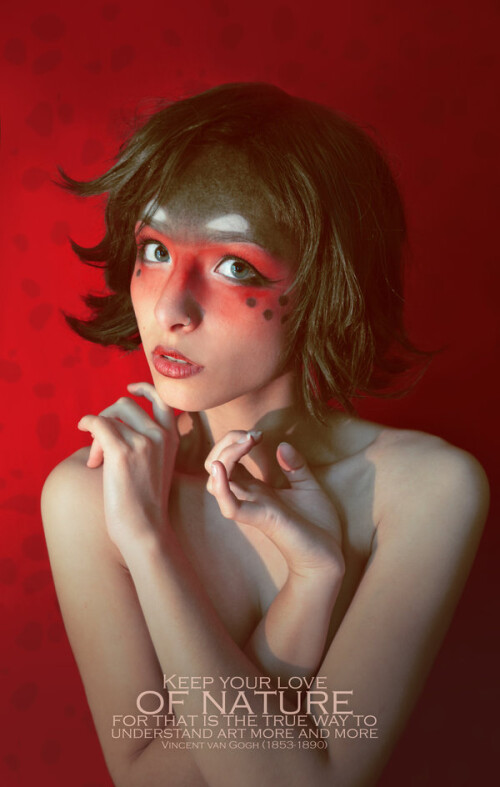 the ladybug by angelabermudez d5y4t8id4e348b9a9c846bf