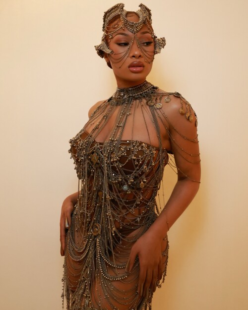 theestallion 20250129 0009a47aef48e56fa054