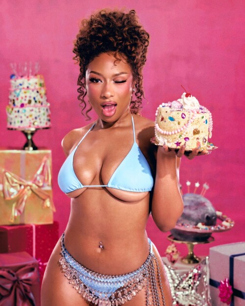 theestallion 20250215 000867113311c3287231