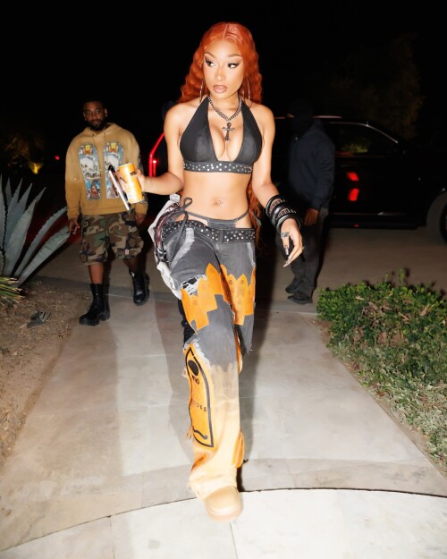 theestallion 20250419 00043b85e06fcf068017