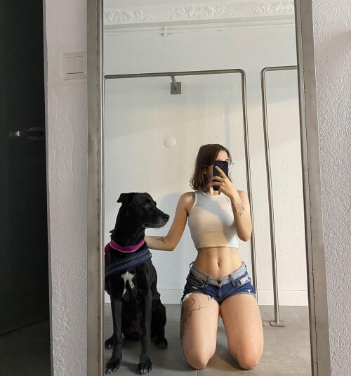 themelcho 1728645389449a571471b3e686a28