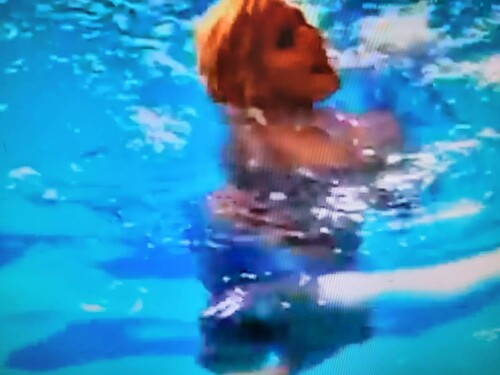 thumbnail Resized 20220803 221420