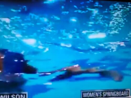 thumbnail Resized 20220803 221541