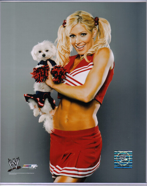 torrie wilson HF025060f4fa3eb11218086