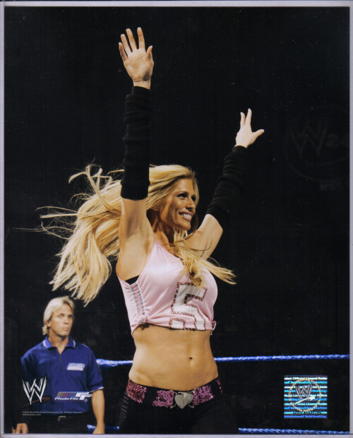 torrie wilson1 15bfe1fa5d752a90a