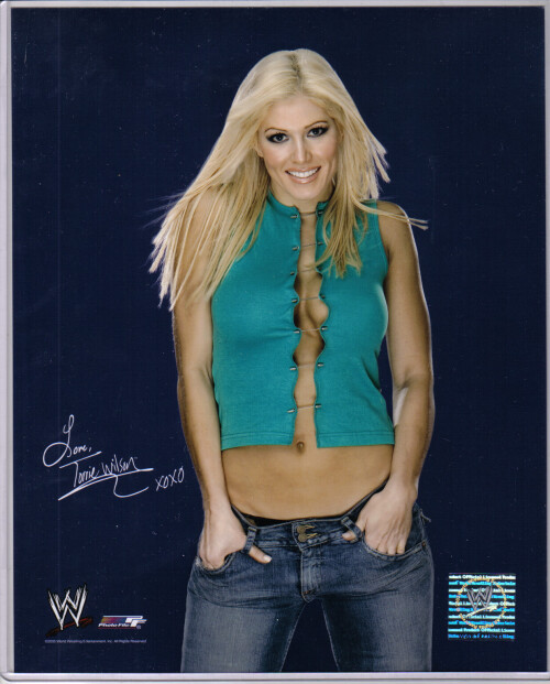 torrie wilson588147633f6b86434