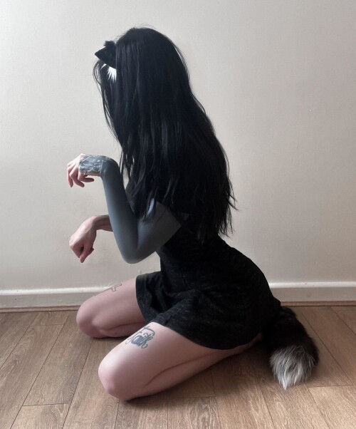 toys dildos kitten in training jikfTO3df0a6a6dff6d6fe
