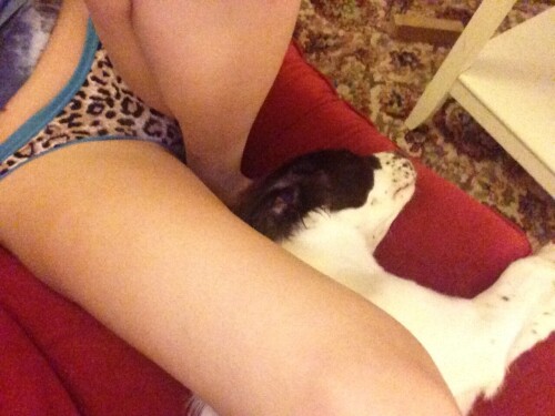 tumblr msrxiv53GS1r8wl2xo2 1280bcacdddf65201468