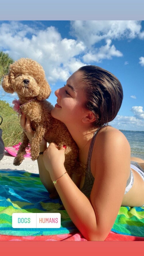 tuxjithpvfg71b36112731d90b301