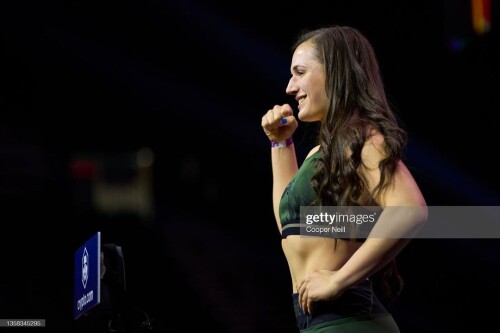 u95xa1kcipa81d3452a3c1629599e