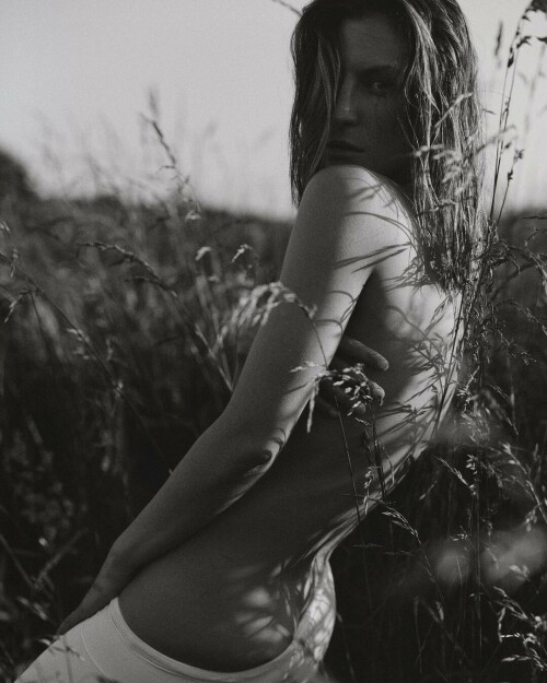 unknown 295971135 2020831708125478 8486565151146859131 n