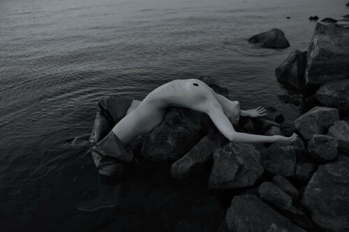 unknown 306744330 763330378089305 6477261965461933796 n