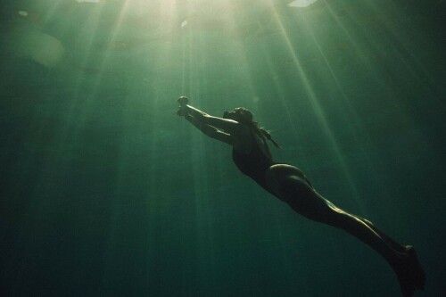 unknown 341300336 706893867905460 8809675156508333779 n