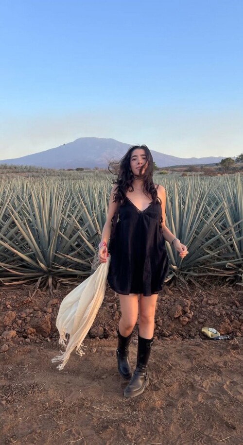 vDfXZeYQ29fd7b70c84c9261