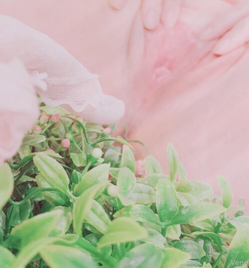 venomous dolly 338009407dda656554