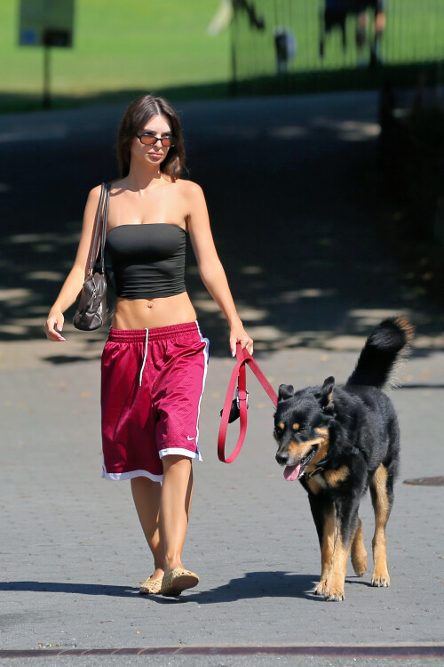 vfawe4t4e-112d6431488774ea1a790b6a9c30875f25