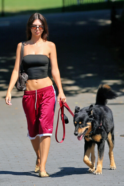 vfawe4t4e-18c870691e98b23bf35f6a9dec904c830