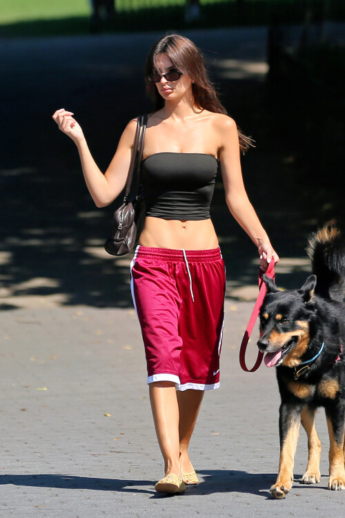 vfawe4t4e-20e2377ef59b40f3faee4e34145c23f3f6