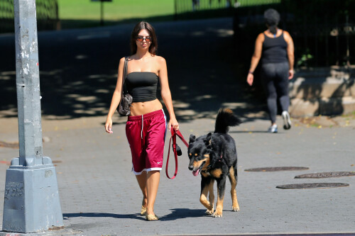 vfawe4t4e-237b250dcad32a563ca978571e3416075