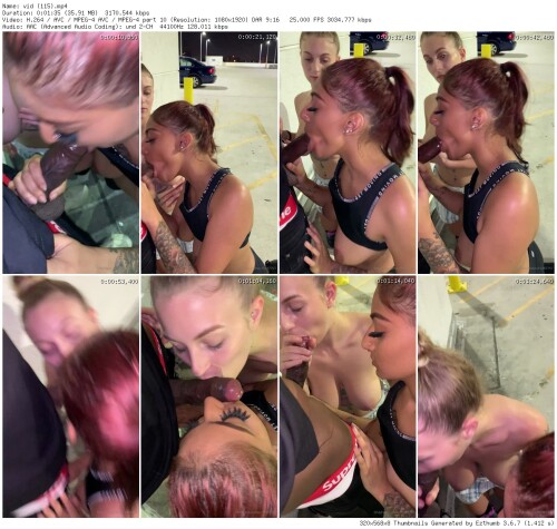 vid 115 thumb22e192069821c442