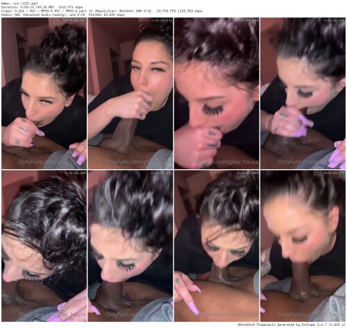 vid 123 thumb4788f24303711704