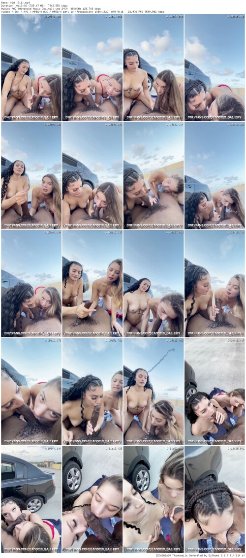 vid 311 thumb67ffd7a05873f50f