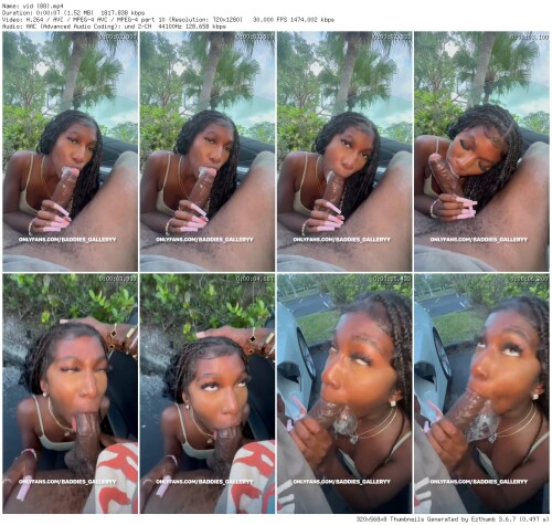 vid 88 thumbb490688f52c56acb