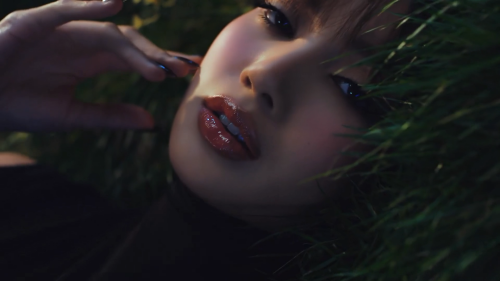 videoframe_12719338ff211a4d30fd2