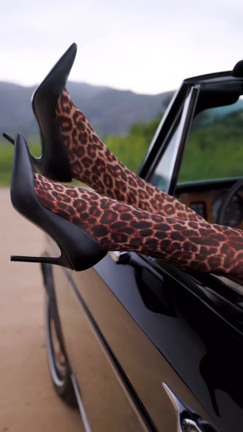 videoframe_16968c55bbe4b3866f2dd