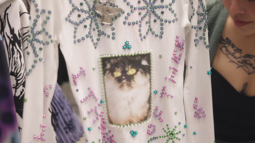 videoframe_64865b39125e4d4781ad3