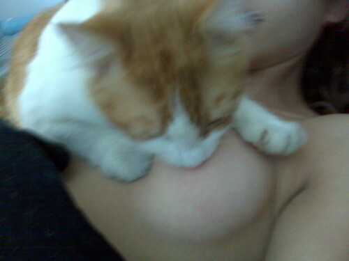 viewattth1207241e5cc506f5attid0e339c75c8aed00f2