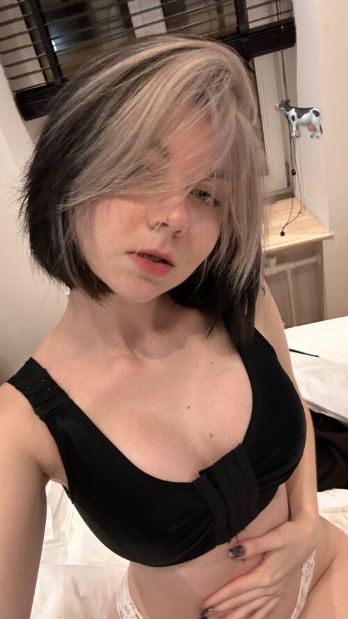 vixenp 20231124 001373791db48cc3f0b0