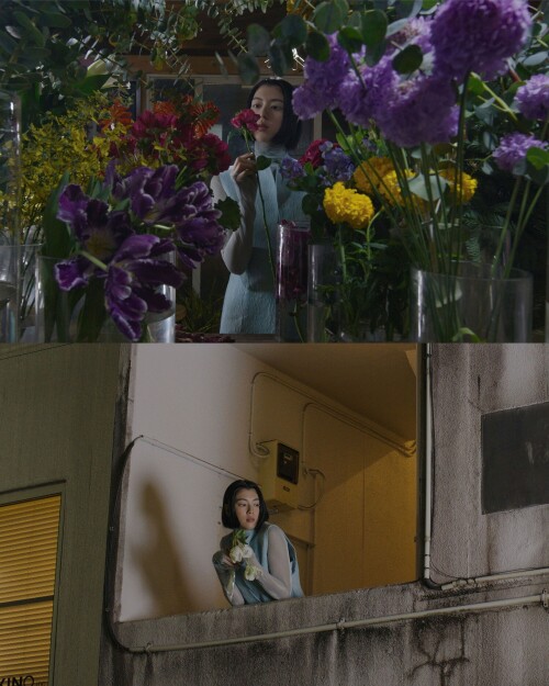 vogue crush 0124 23d88f1945ee2b6cf