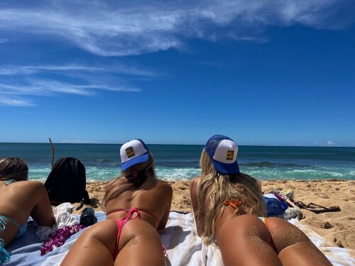 vsco 0905232a2c26e88a0c12382