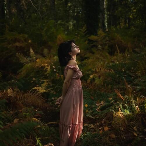 wd 4460d4493b34a18e9