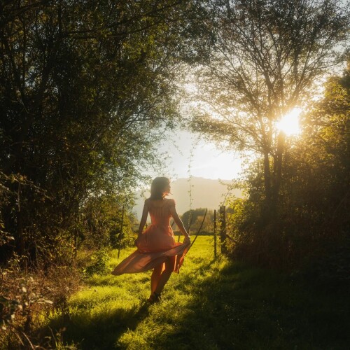 wd 59e830c3b4c0f5172