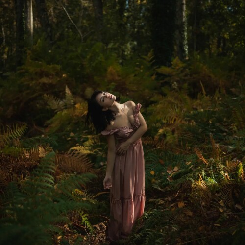 wd 6cb47264d0327fdf5