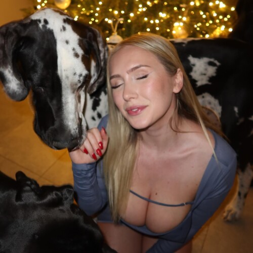 wettmelons C04o cHSBQ0 065f3251d687e7efe