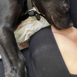 wettmelons---CkNHlqCycYpf5976fa6ca1f6a58