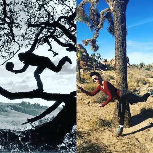 wittyhandle 26157945 1649563538415693 8854211793807998976 n