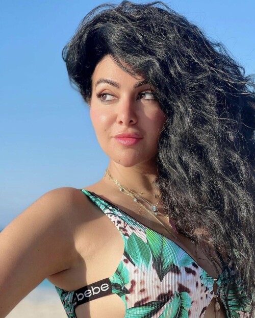 wl4p86 01 x4feo7jphxg91