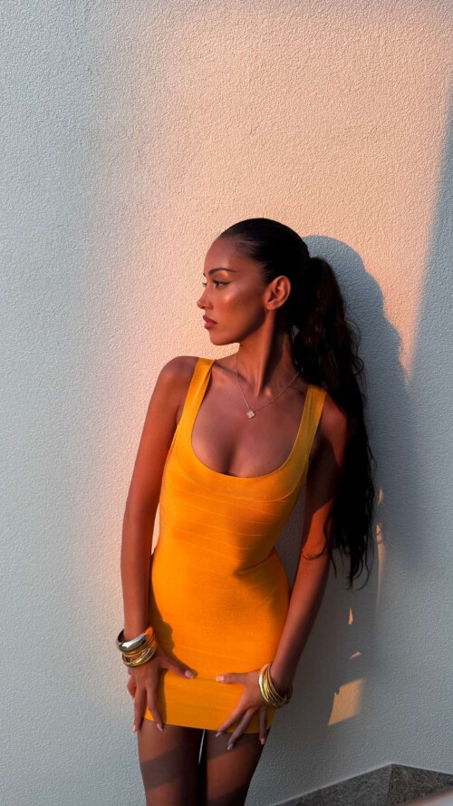 wolfiecin 2025 07 05T11 57 32f53dc056accf74ce