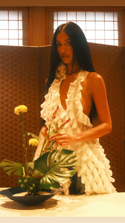 wolfiecin 2025 09 28T01 32 0309a104b8ceb12443