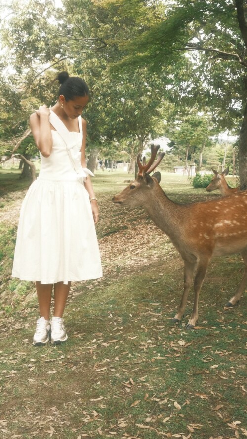 wolfiecindy 1755948581 2036904572ae8e60fb1e12191