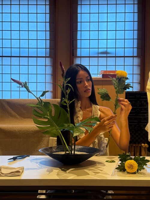 wolfiecindy_1757167500_3715701381957994682_203690457cad853be8a52f00b