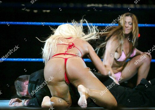 world-wrestling-entertainment-passport-to-pain-tour-turku-finland-oct-2003-shutterstock-editorial-431933b