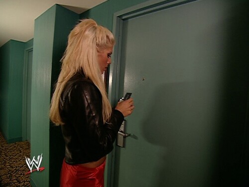 wwe divas desert heat 03