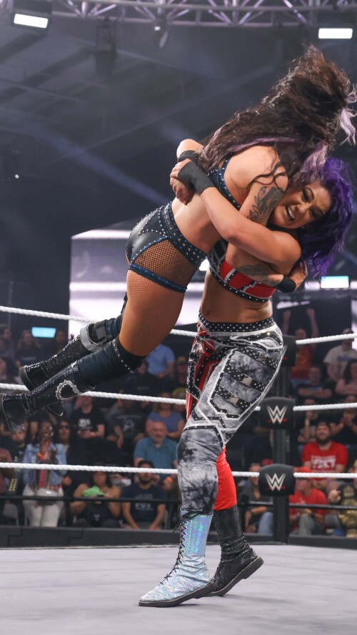 wweindia 1739341263 3222623954f41ac822aa6f18d9