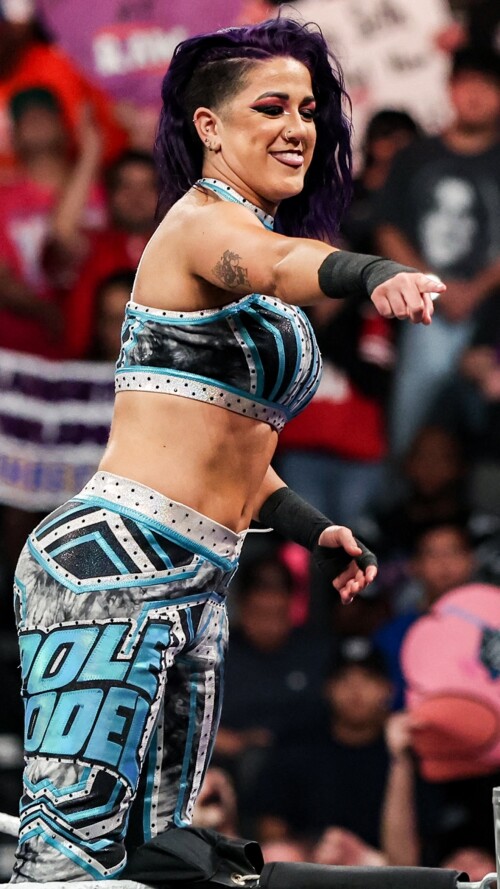 wweindias2025 4 15 12.2.331 storyb1c589d69f4d05f7